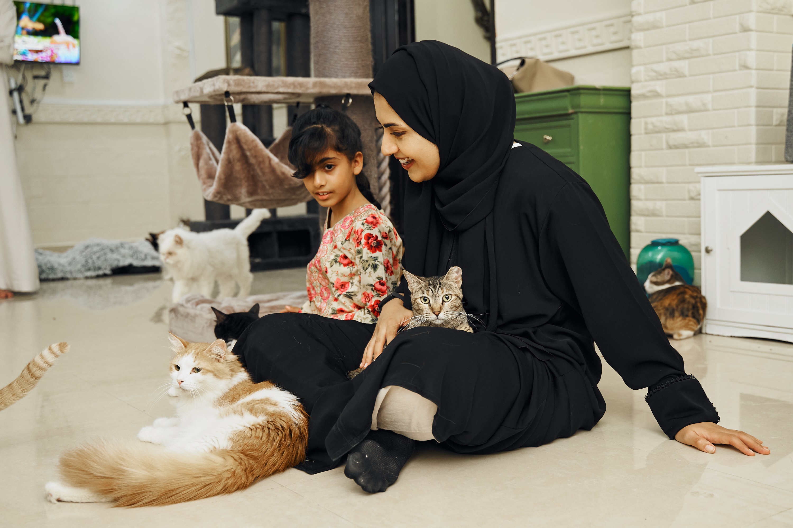 world animal day