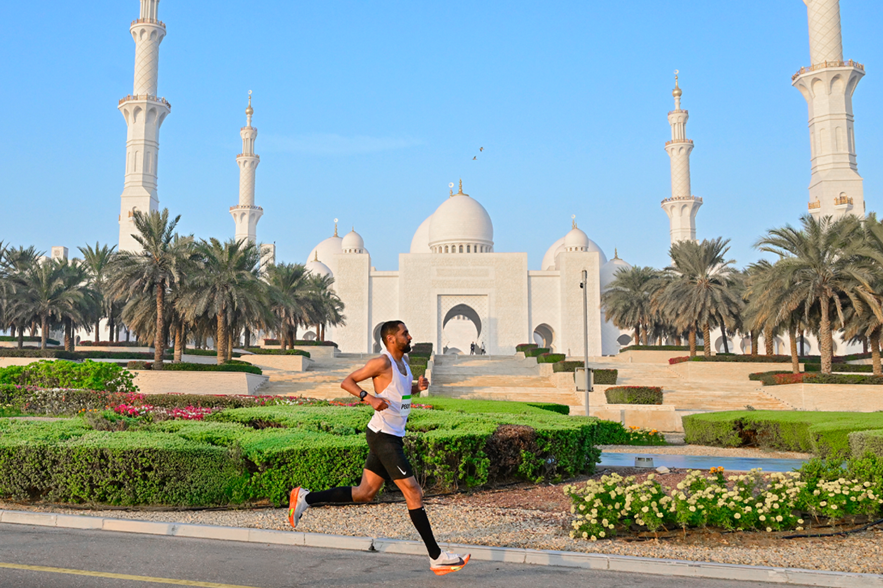 seha pink run