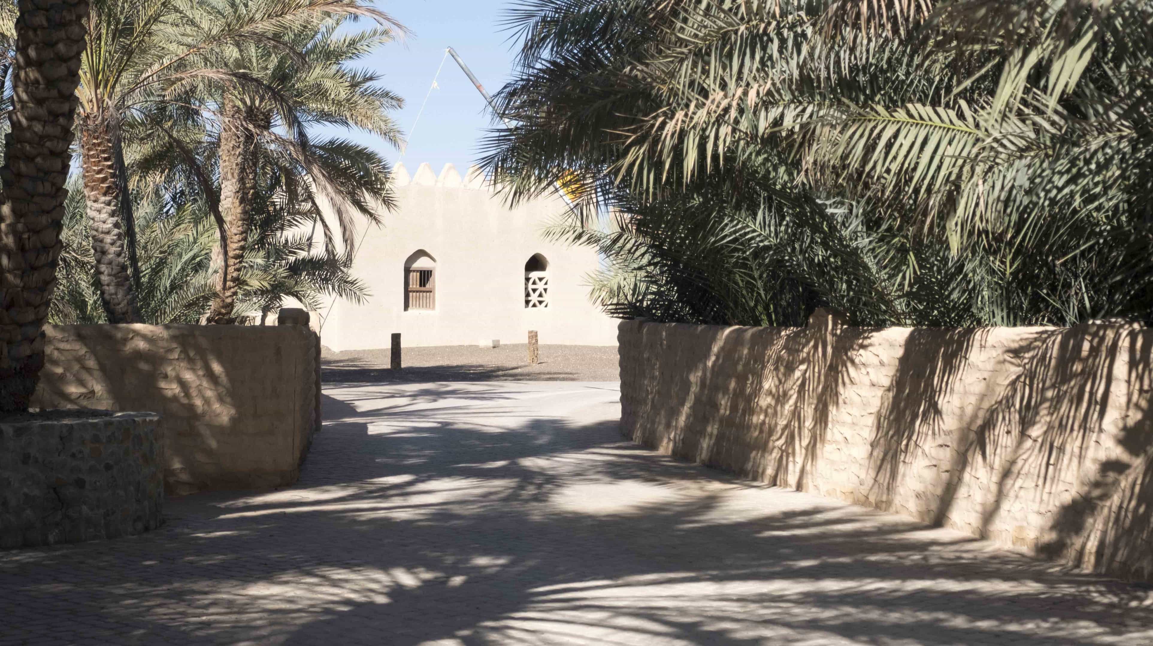 طرق معبدة بالحجارة بين مزارع النخيل في واحة القطارة