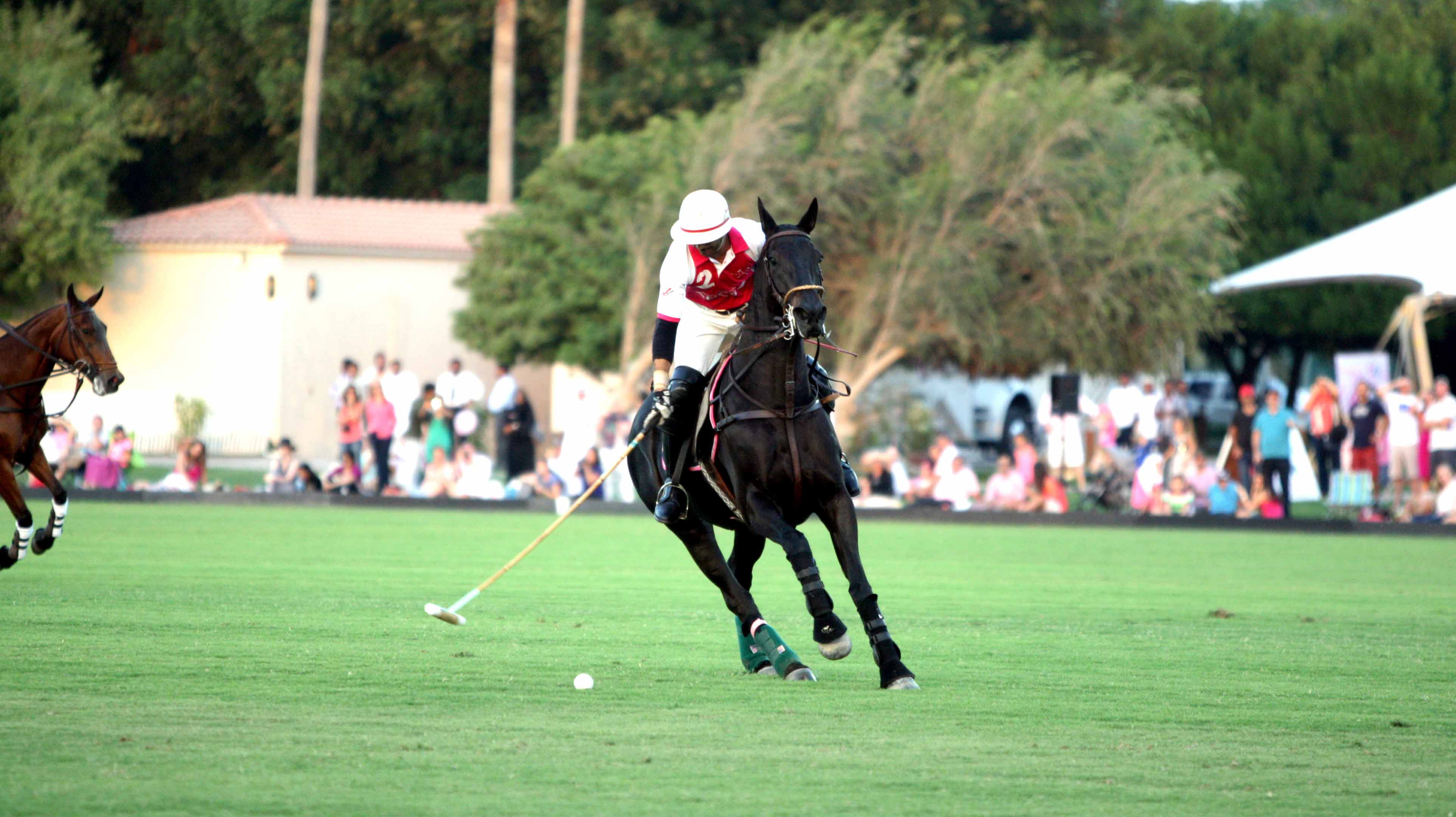 نادي غنتوت لسباق الخيل والبولو