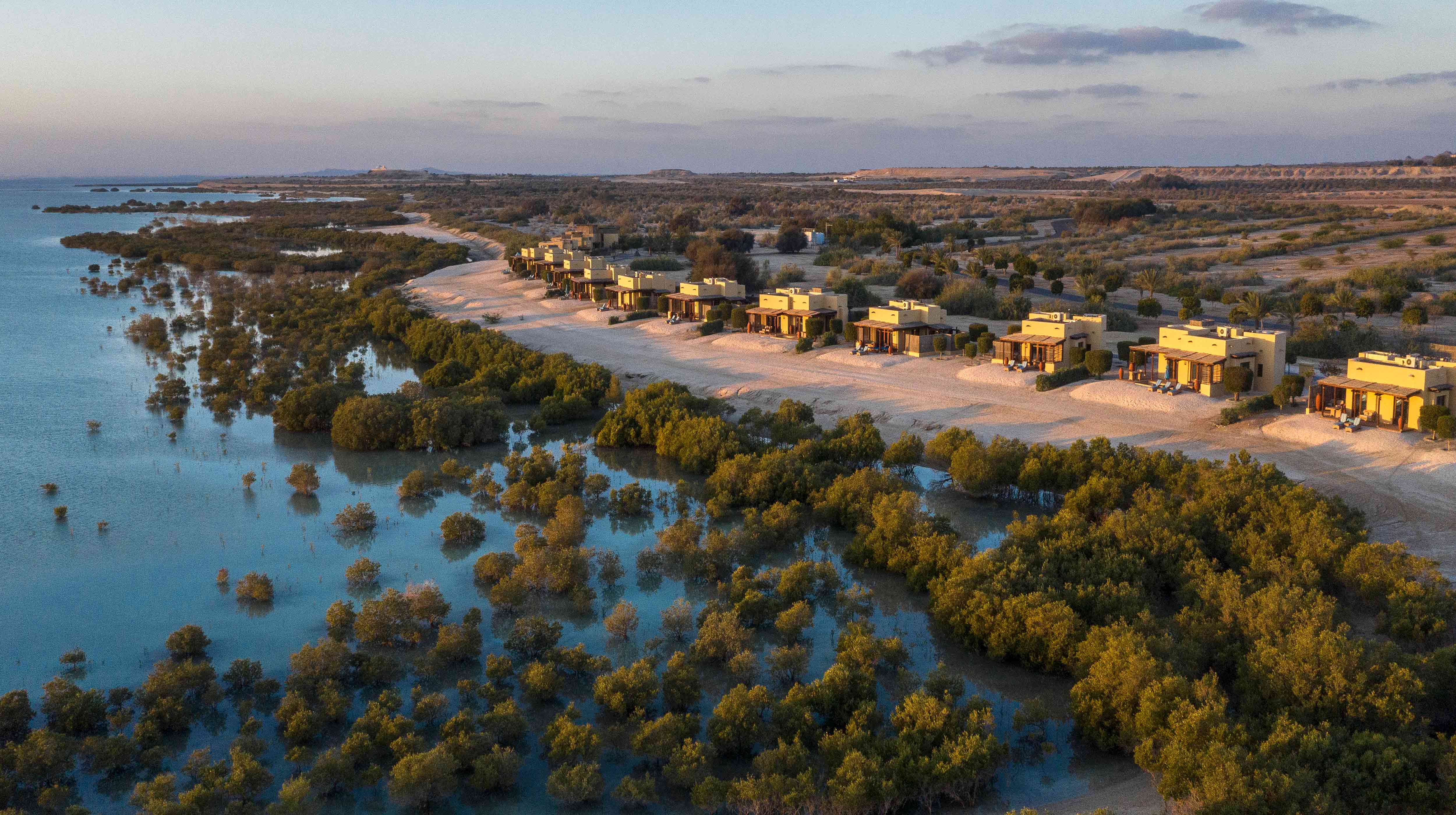 9. האי סיר באני יאס (Sir Bani Yas Island) 