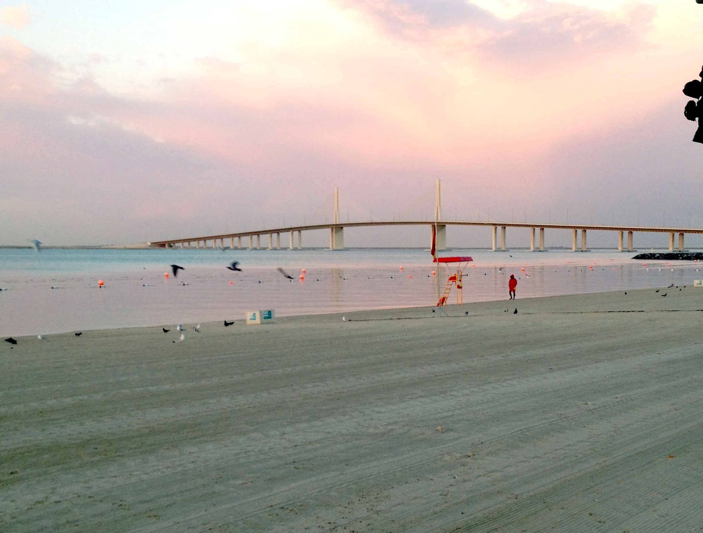 9. Al Bateen海滩（Al Bateen Beach）