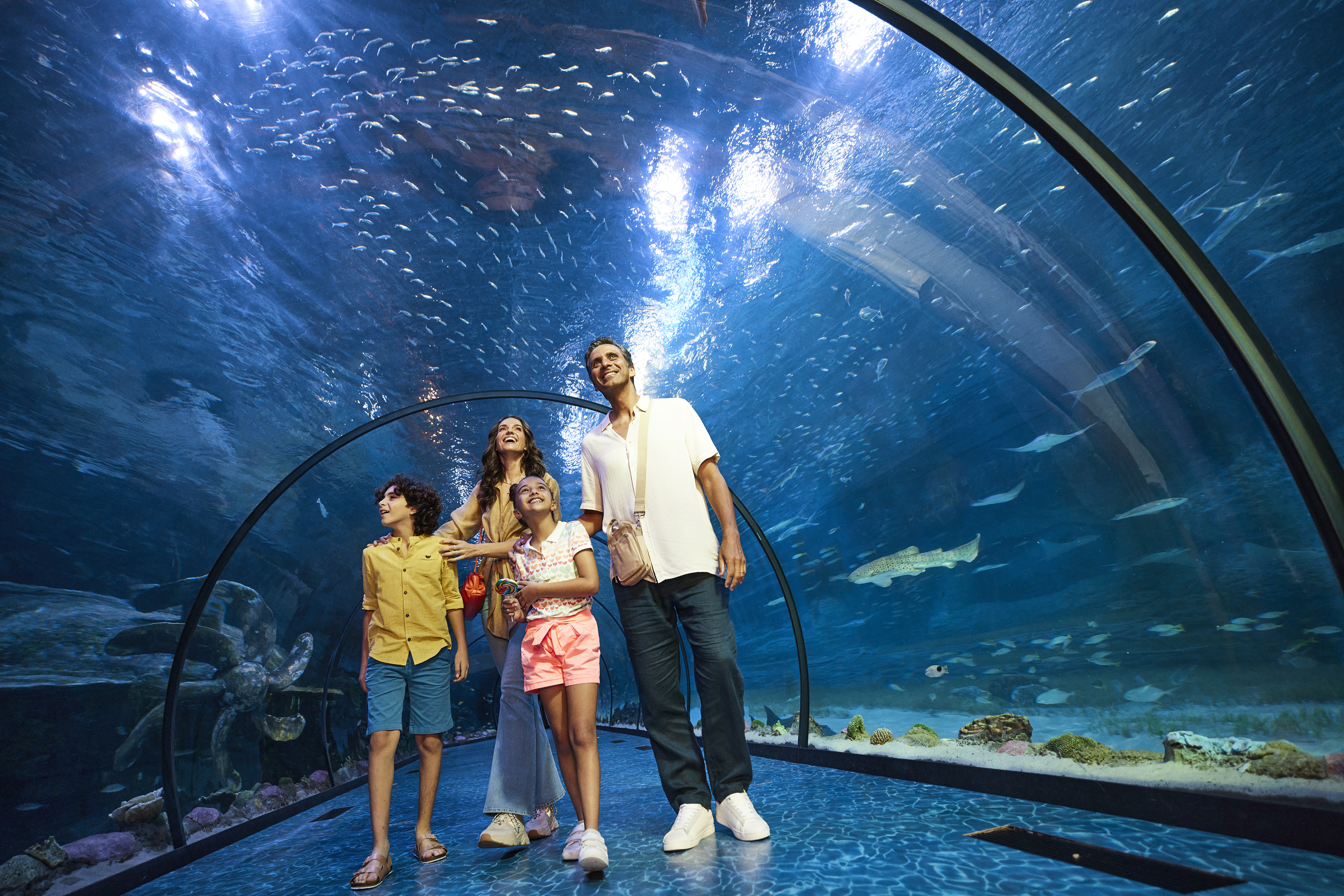 Una coppia di genitori con due figli ammira cammina sorridendo in un tunnel trasparente ammirando i pesci dell'acquario nazionale di Abu Dhabi
