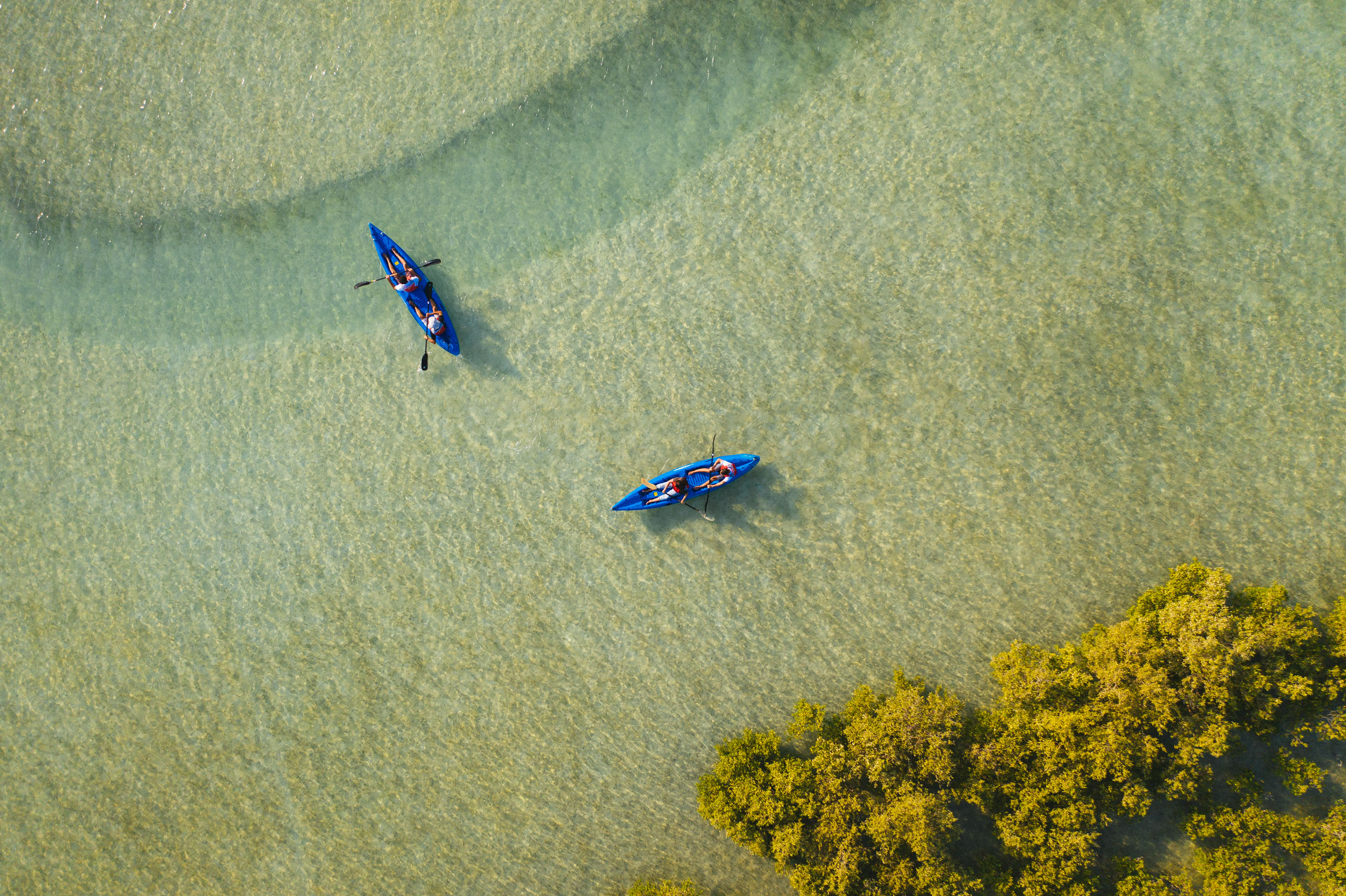 4. Faites du kayak dans une réserve insulaire protégée