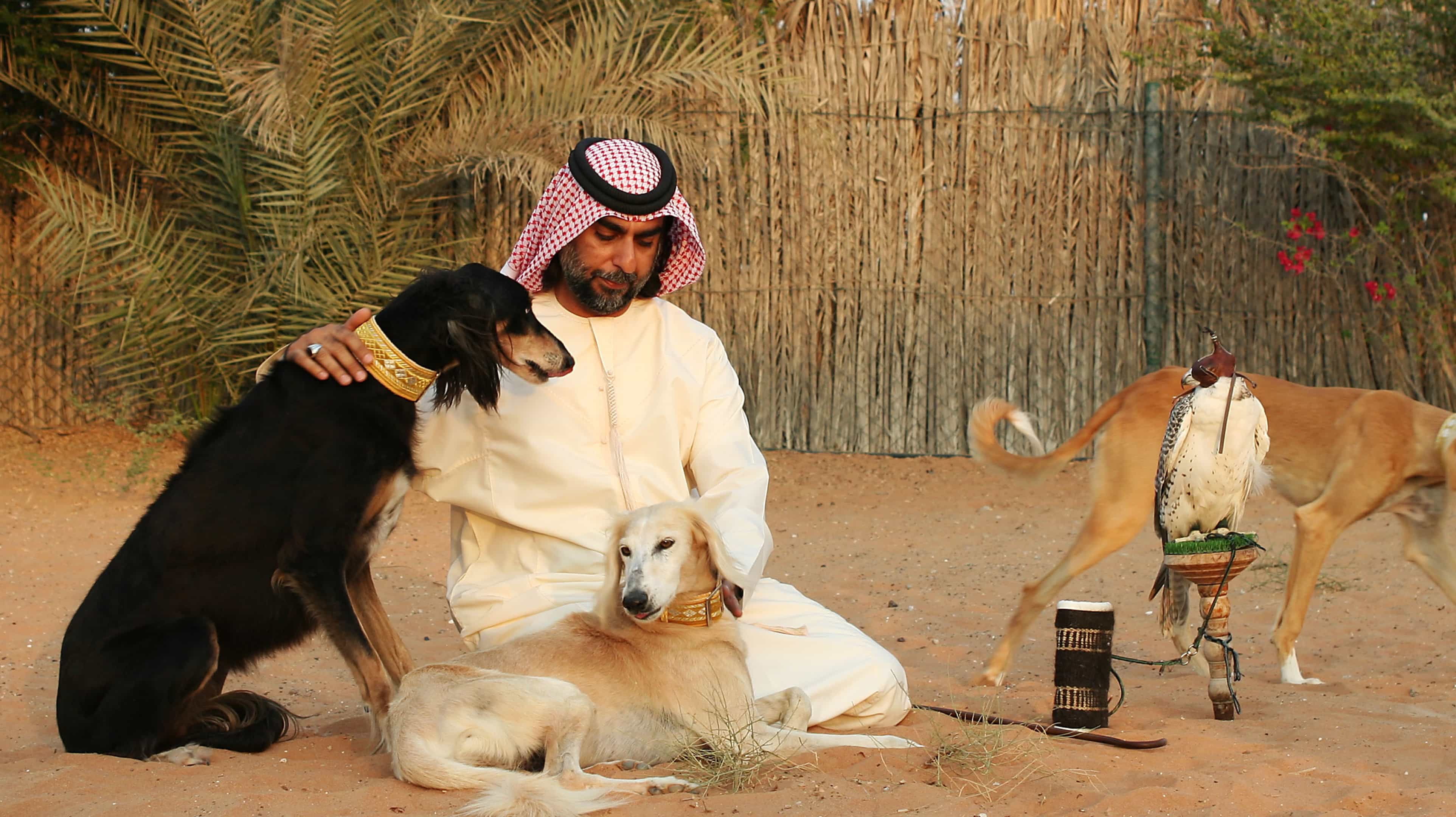 9. Meet the animals that made history
