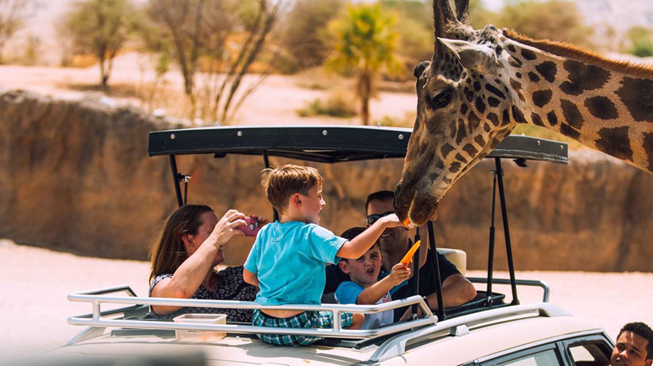 3. Al Ain Safari