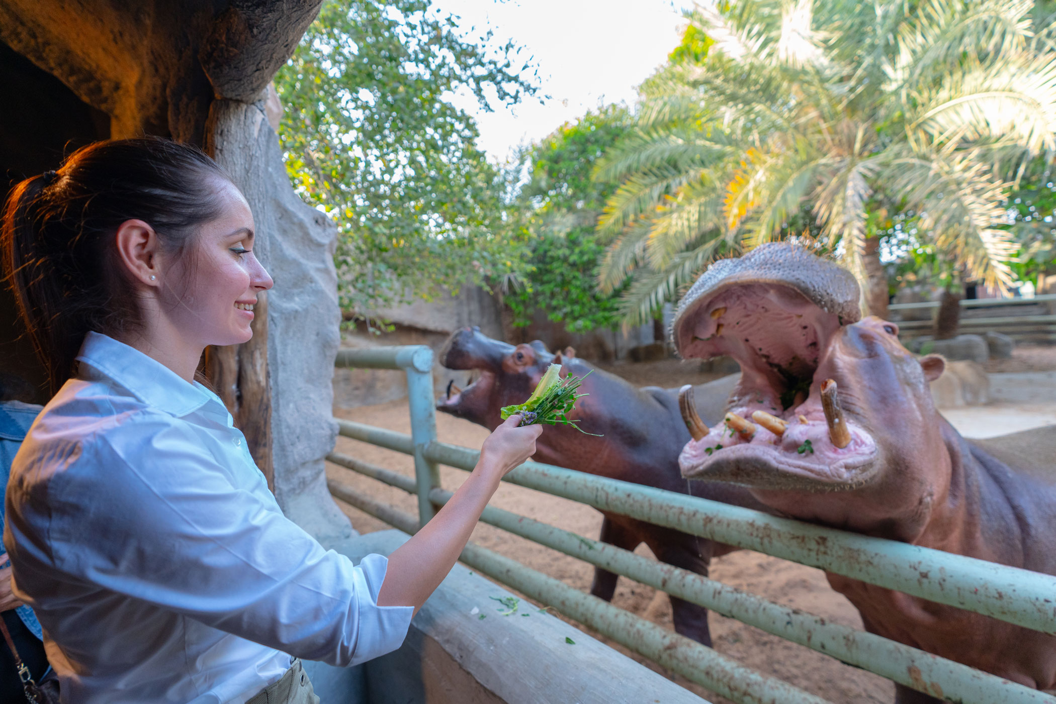 4. Feedings at Emirates Park Zoo