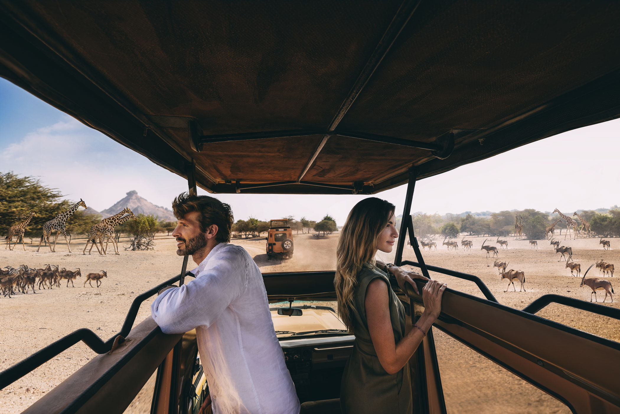 3. Safari on Sir Bani Yas Island