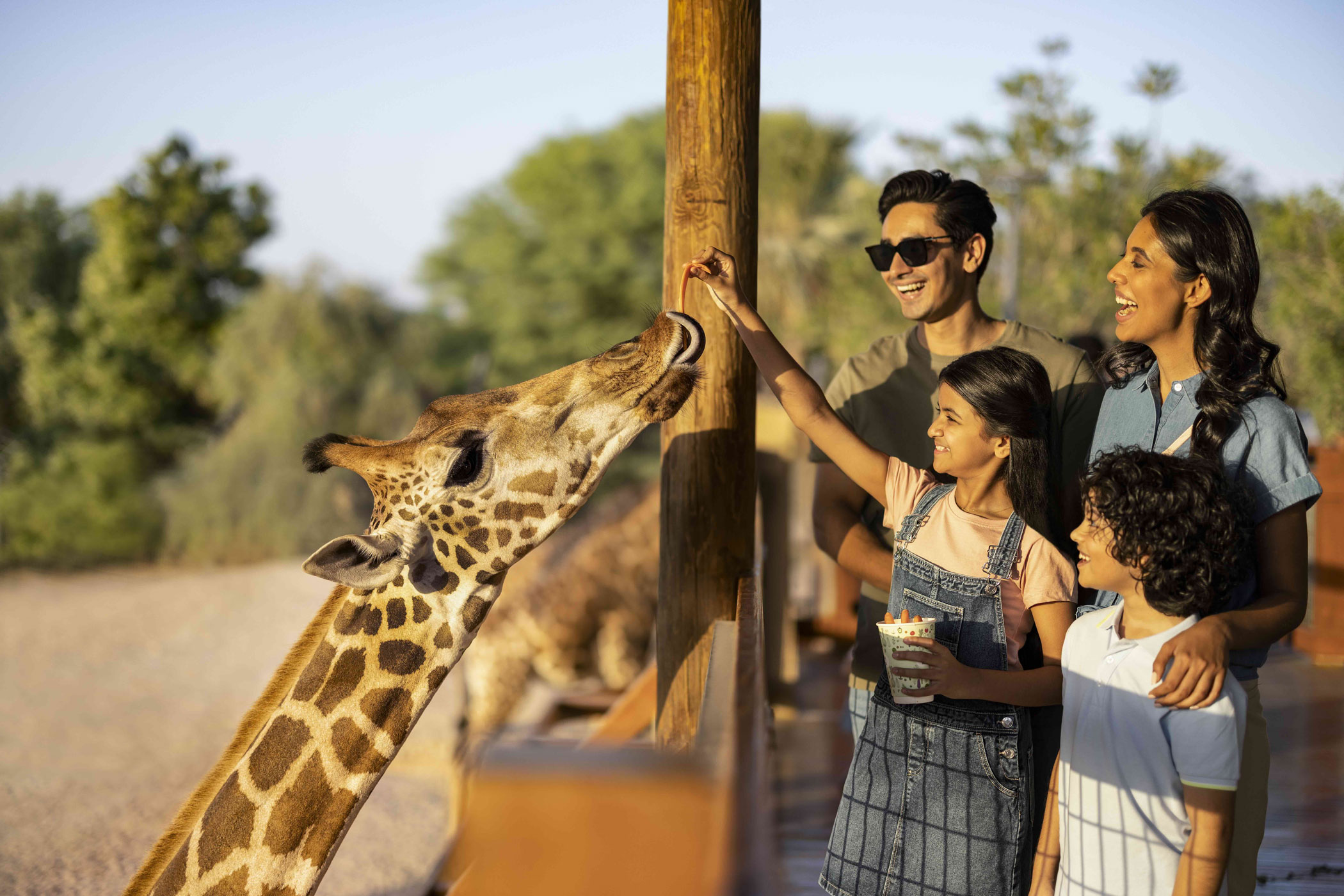 1. See wild wonders at Al Ain Zoo