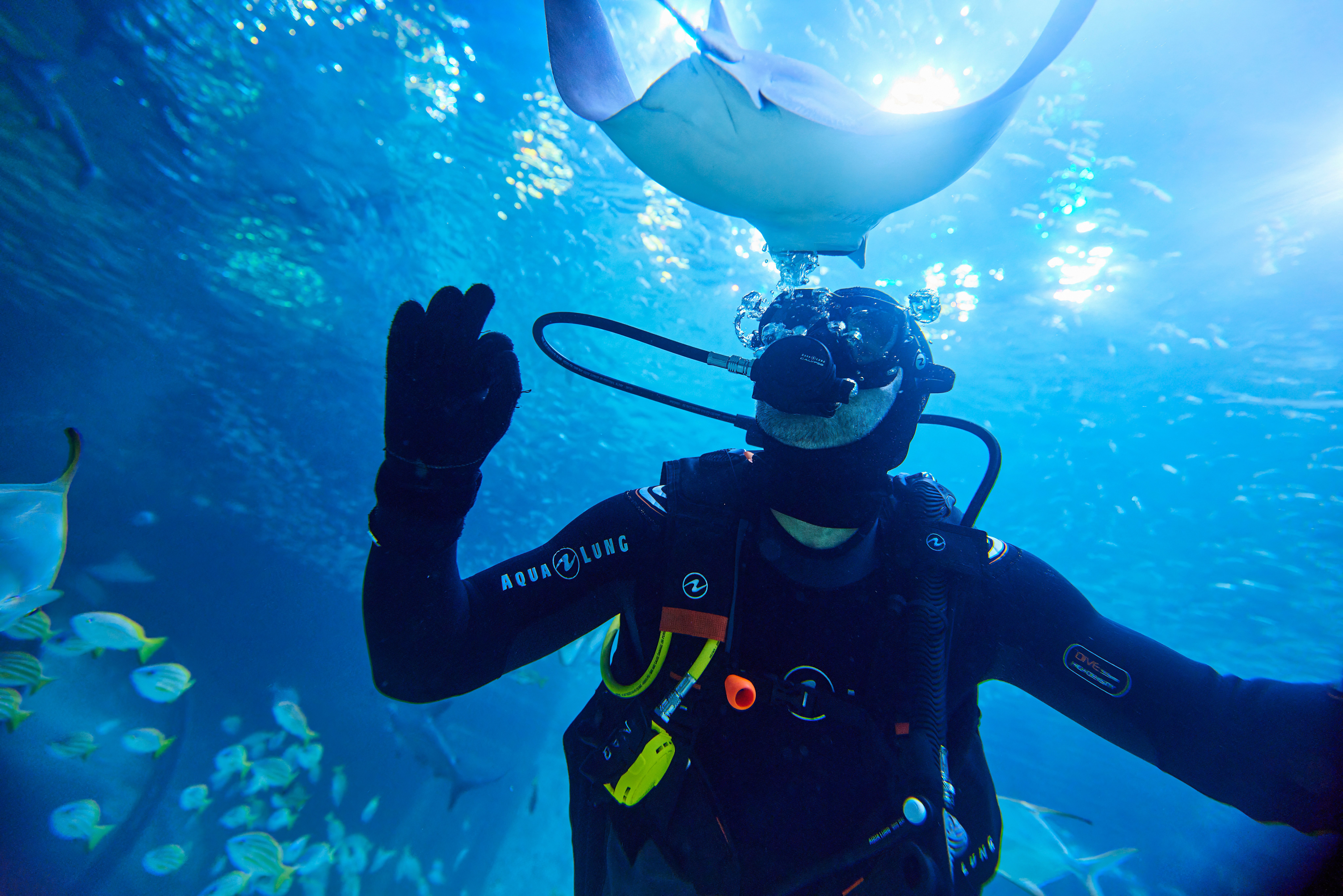Nationaal aquarium Abu Dhabi