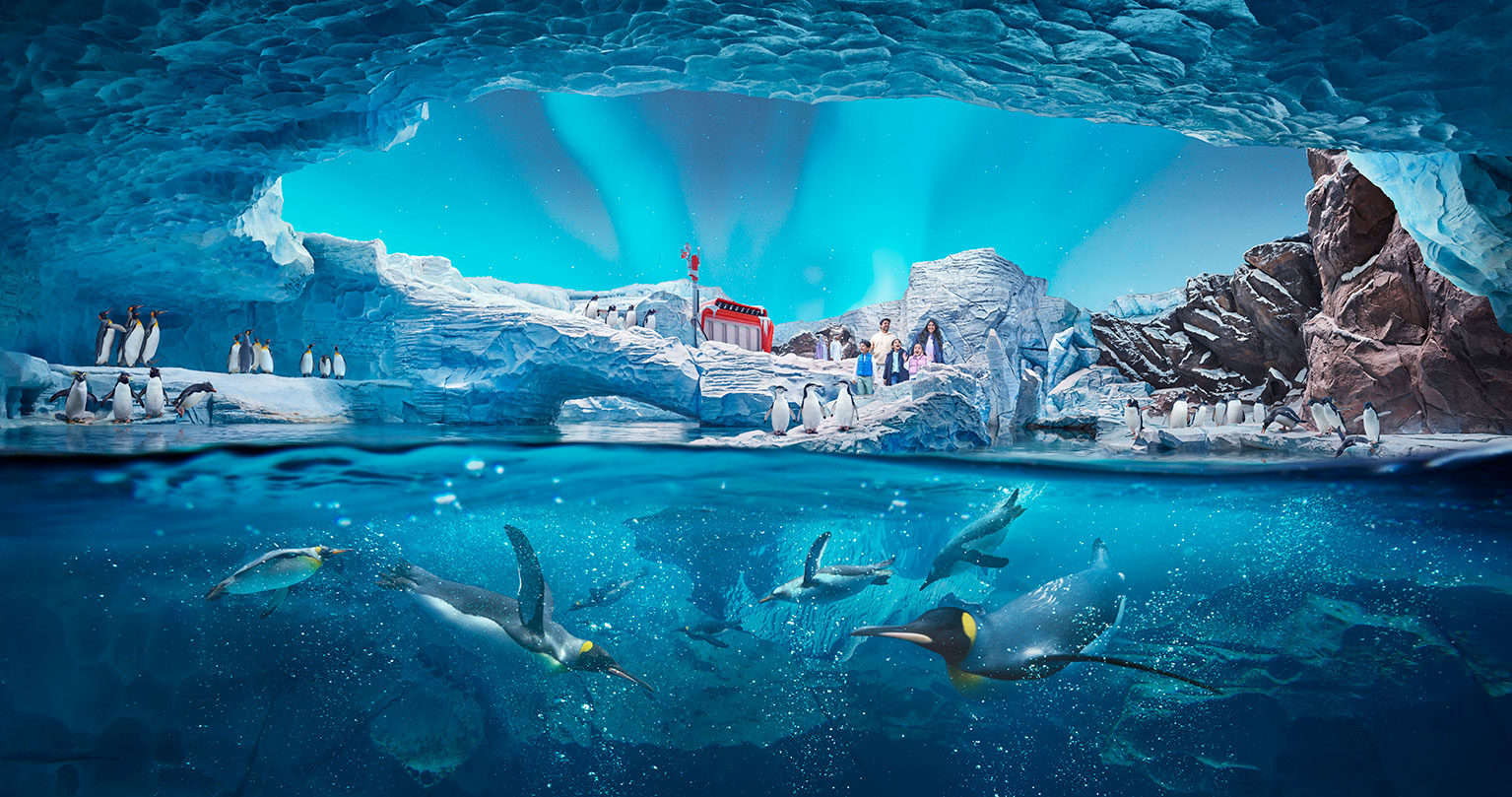 Les animaux du SeaWorld® Abu Dhabi